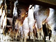 продам вяленую.копченую.св/мороженую речную рыбу