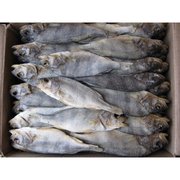 Куплю окунь сушеный,  вяленый,  патрошеный