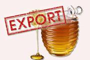 Продам мед на экспорт Европа ,  Америка,  Азия ( export of honey )
